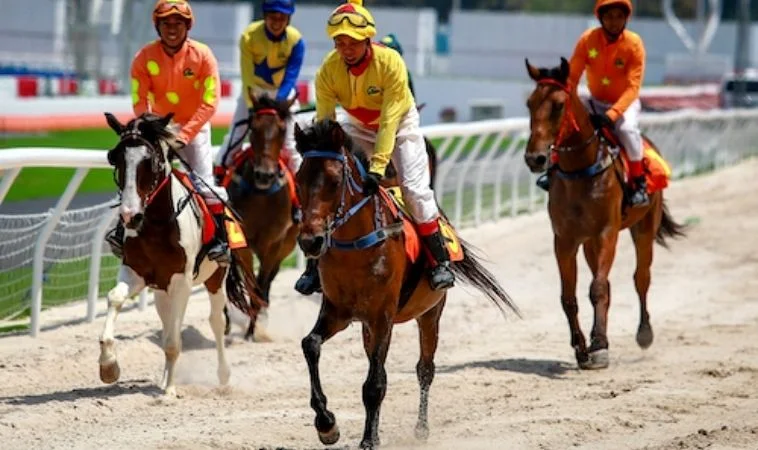 Tìm Hiểu Cá Cược Đua Ngựa Bet88 Thắng Lớn Cho Game Thủ 2 Nghiên cứu kỹ lưỡng về bộ môn đua ngựa trước khi cá cược